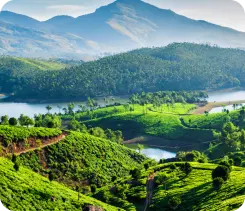 Nature Munnar